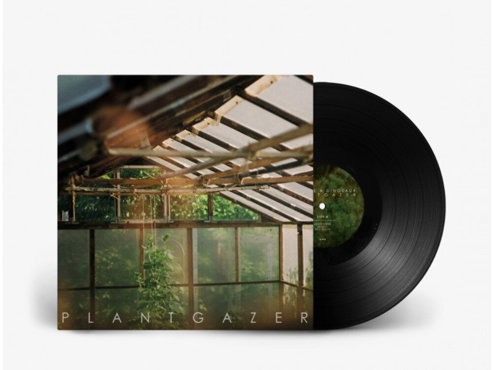 SHOW ME A DINOSAUR Plantgazer black vinyl
